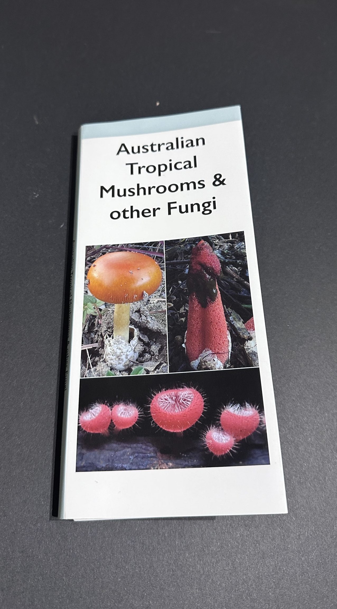 Australian Mushrooms & other Fungi by Queensland Mycological Society (small item shipping applies)