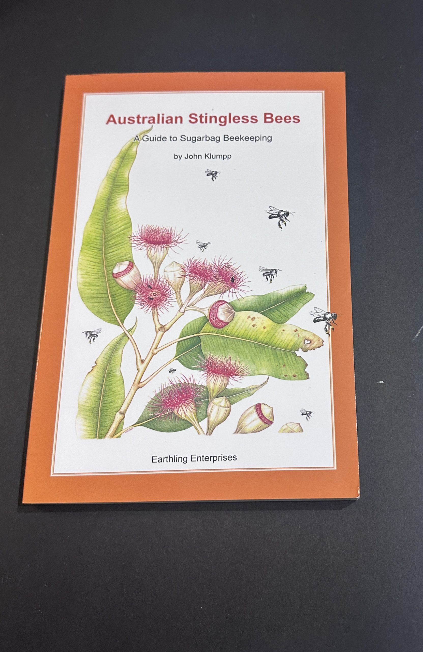 Australian Stingless Bees by John Klumpp (large item shipping applies)