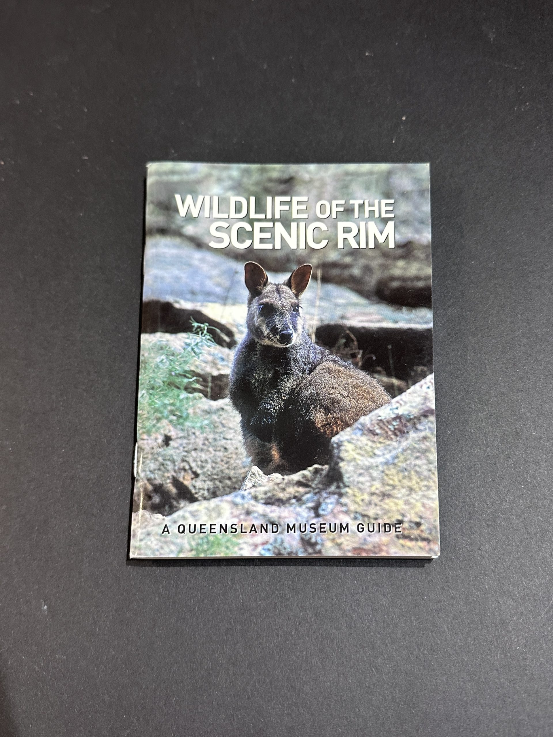Wildlife of the Scenic Rim (medium item shipping applies)