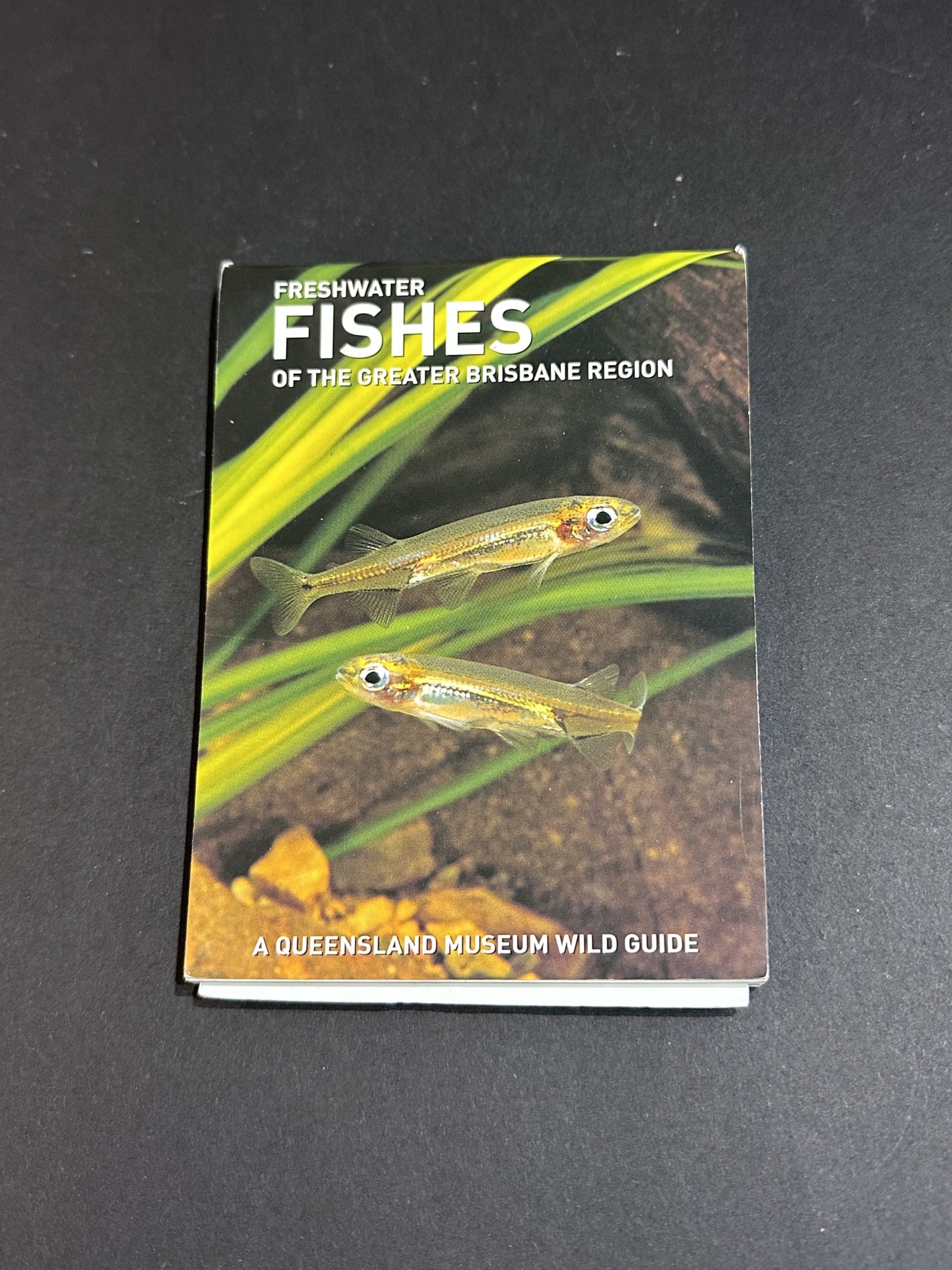 Freshwater Fishes of the Greater Brisbane Area (medium item shipping applies)