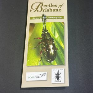 Beetles of Brisbane (small item shipping applies)