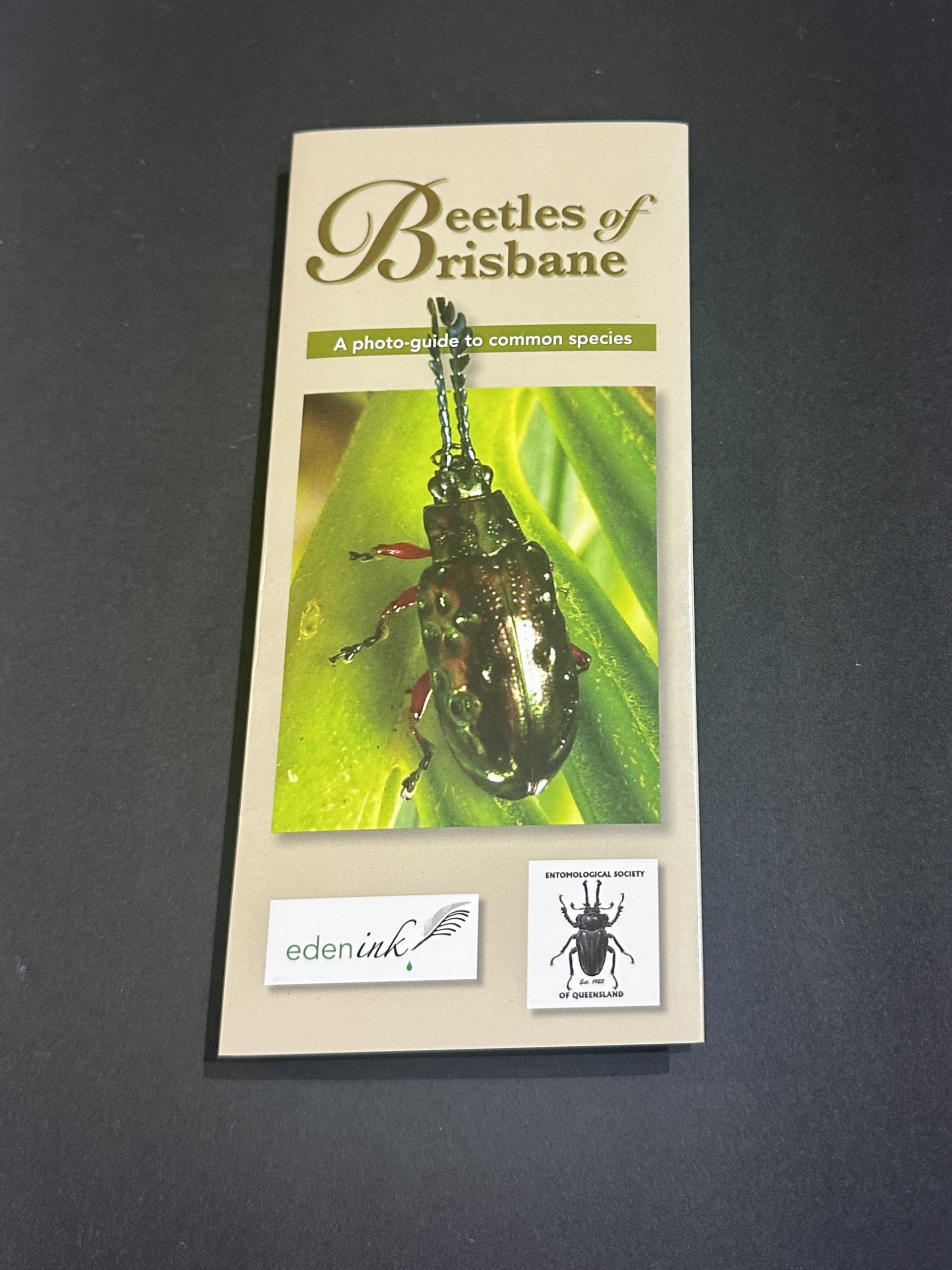 Beetles of Brisbane (small item shipping applies)