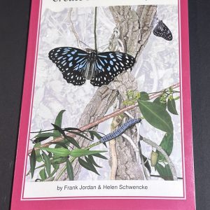 Create More Butterflies (large item shipping applies)
