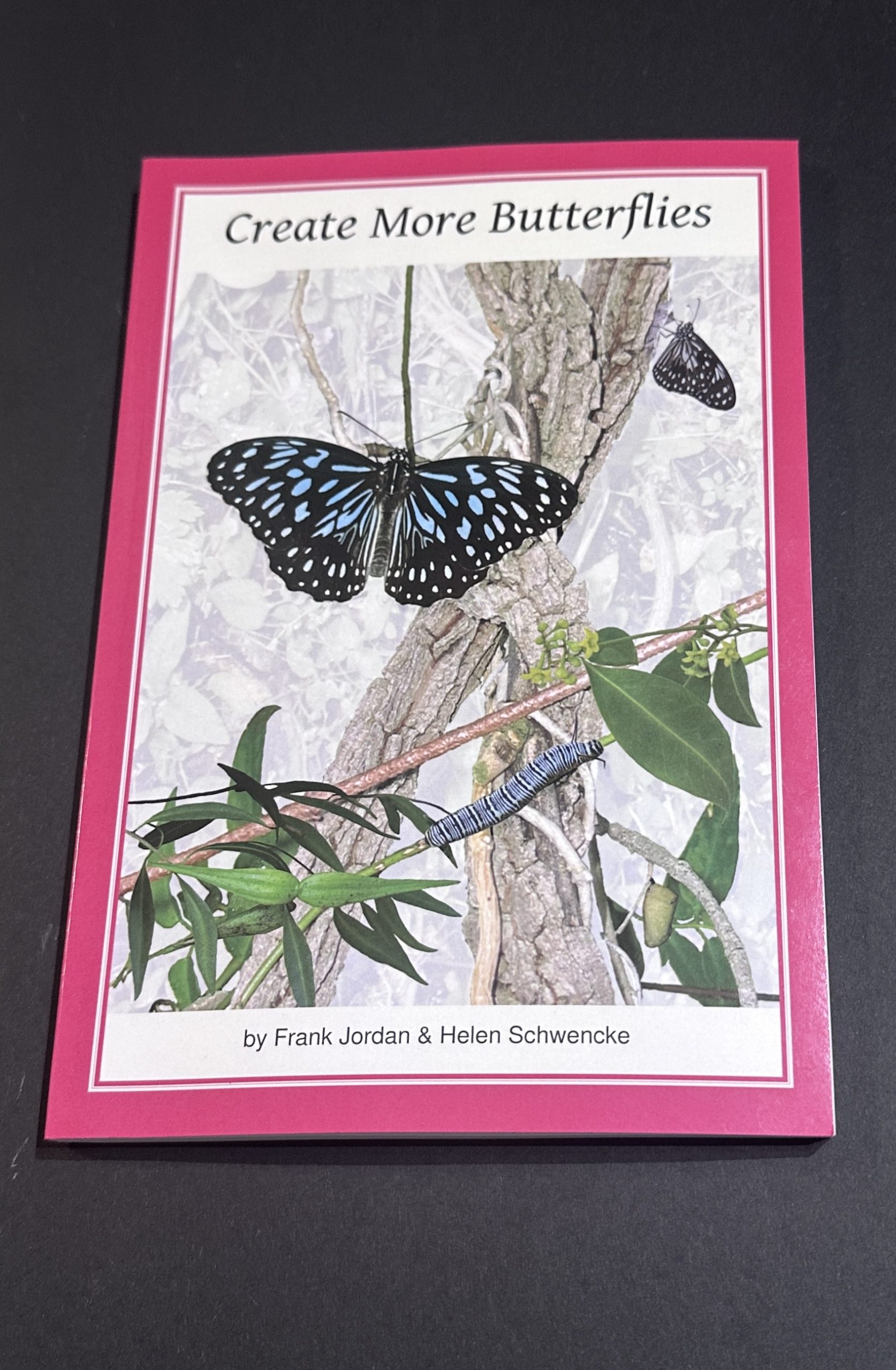 Create More Butterflies (large item shipping applies)