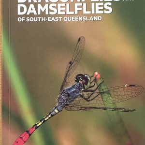Dragonflies and Damselflies of Southeast Queensland - A Queensland Museum Guide (Medium Shipping Applies)