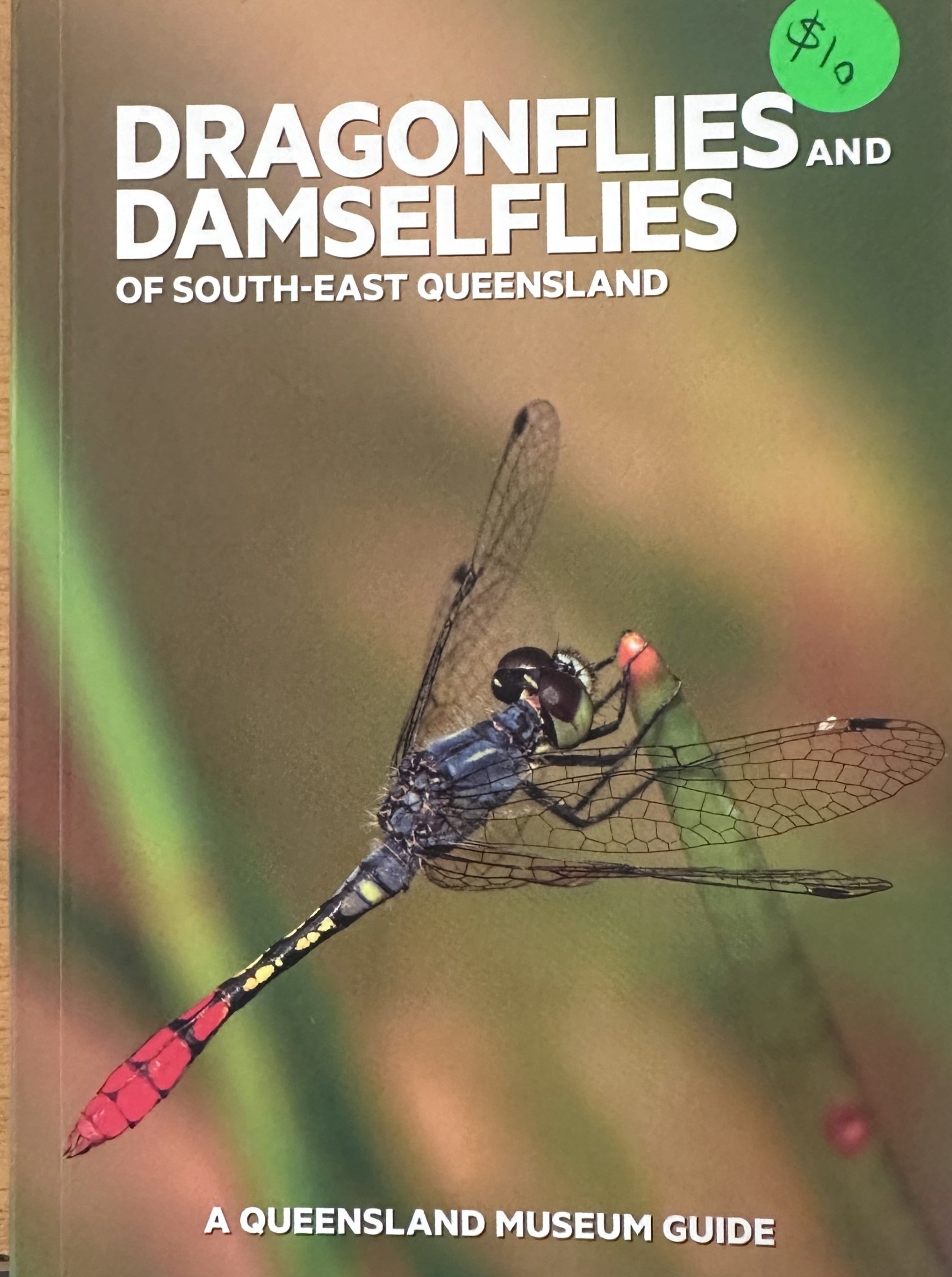 Dragonflies and Damselflies of Southeast Queensland - A Queensland Museum Guide (Medium Shipping Applies)